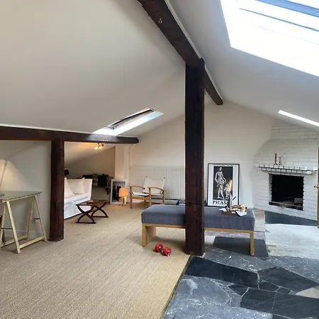 Large Bohemian Loft With Rooftop In Pere Lachaise Appartamento *