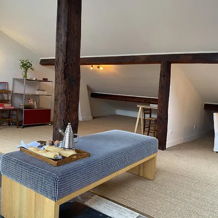 Large Bohemian Loft With Rooftop In Pere Lachaise Appartamento