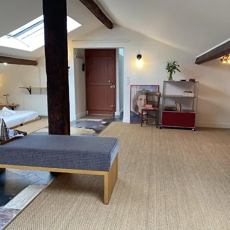 Large Bohemian Loft With Rooftop In Pere Lachaise * Parigi