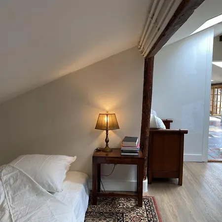 Large Bohemian Loft With Rooftop In Pere Lachaise Appartamento Parigi